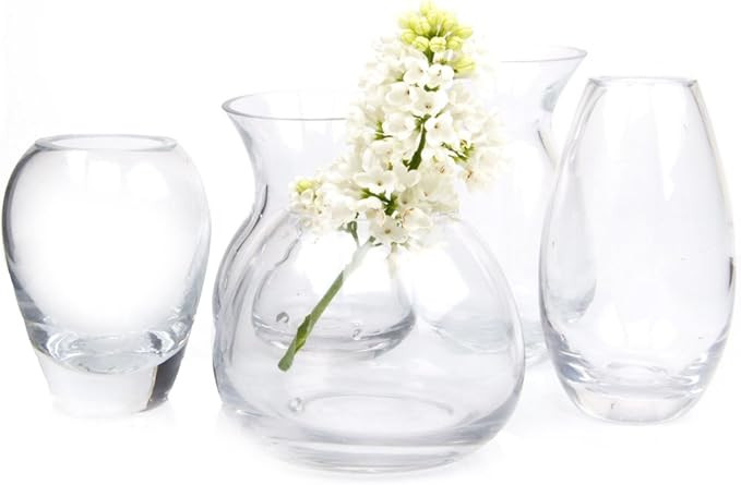 Chive - Set of 5 George Round and Oval Clear Glass Bud Flower Vase for Short Flowers, Handmade Gl... | Amazon (US)