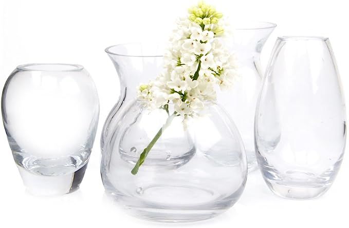Chive - Set of 5 George Round and Oval Clear Glass Bud Flower Vase for Short Flowers, Handmade Gl... | Amazon (US)
