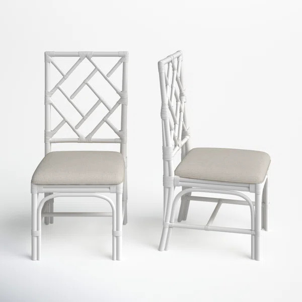 Adeli Woven Side Chair (Set of 2) | Wayfair North America