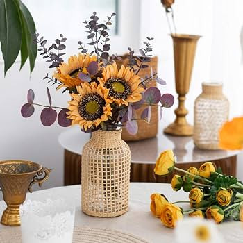 DOITOOL Glass Flower Vase with Rattan Cover Flower Bud Vase Round Decorative Flower Vase Floral C... | Amazon (US)