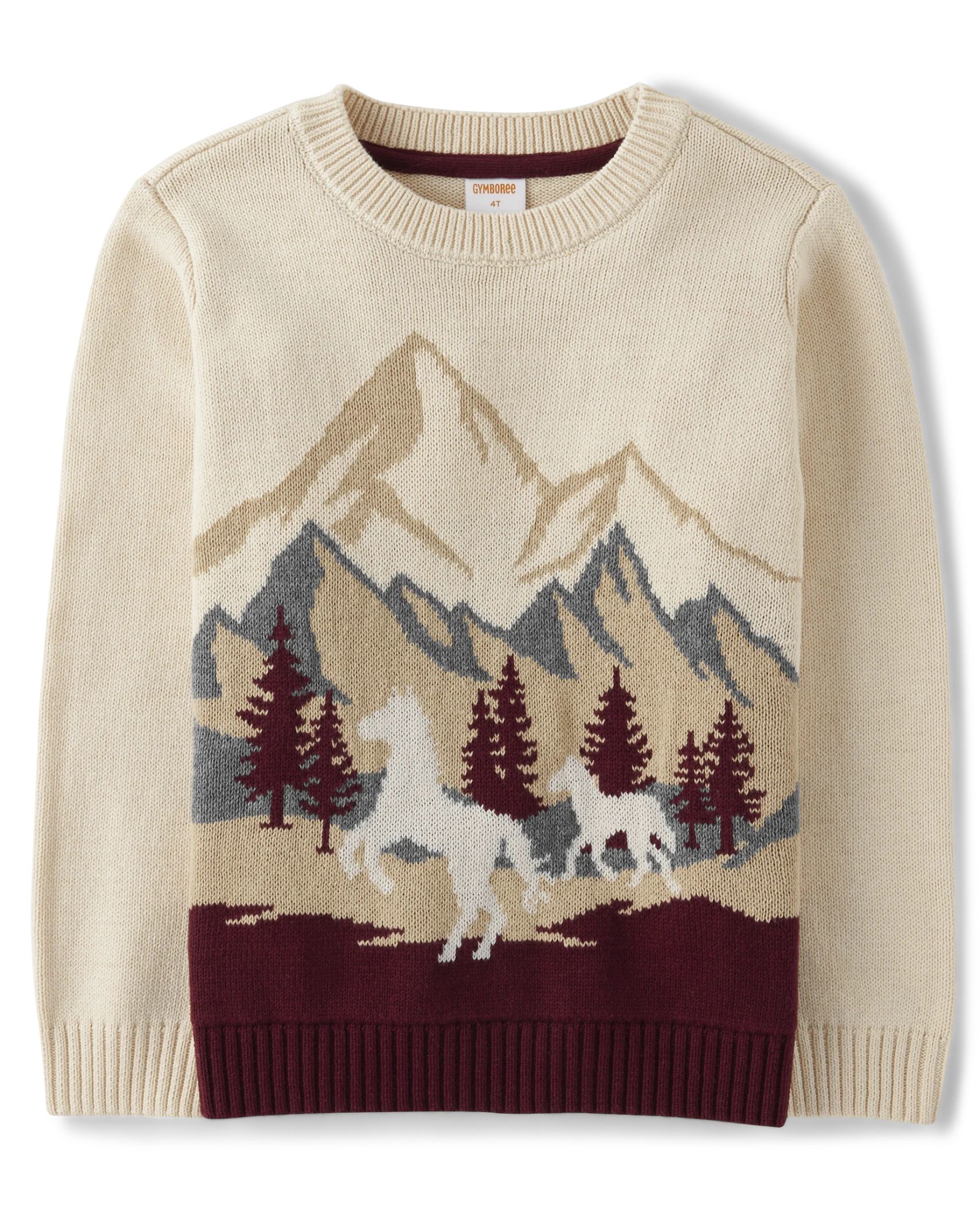 Boys Long Sleeve Embroidered Mountain Sweater - Rustic Ranch | The Children's Place | The Children's Place