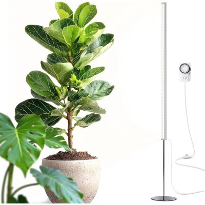 Barrina T1s Standing Grow Light For Indoor Plants With Timer, 65w 5000k ,full Spectrum, 5ft-5.6ft, Silver | Wayfair North America