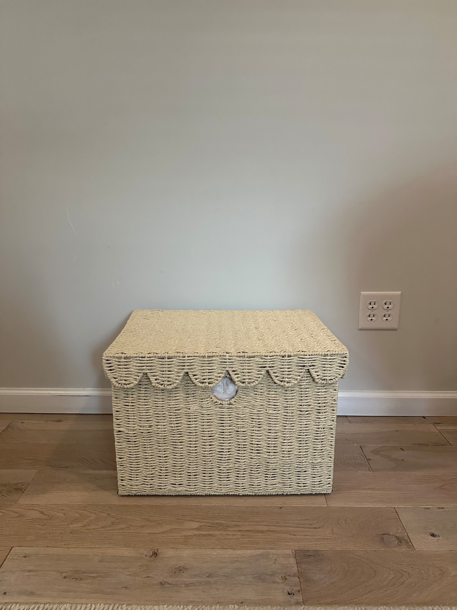 Scallop basket I got to store my son’s toys in.