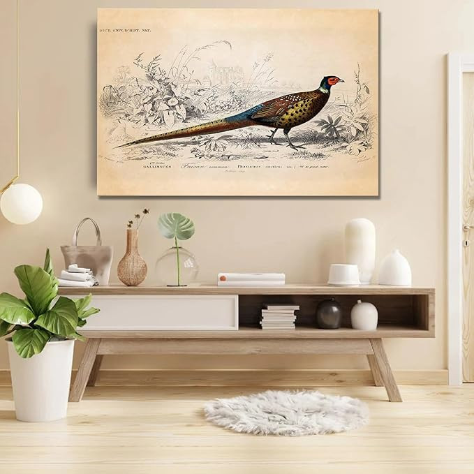 Vintage Pheasant Poster Wall Art Print, Retro Decor,Room Aesthetic Wall Decor for Home, Office, L... | Amazon (US)