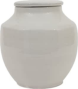 Creative Co-Op Small Round White Terracotta Cachepot, 8 Inch | Amazon (US)