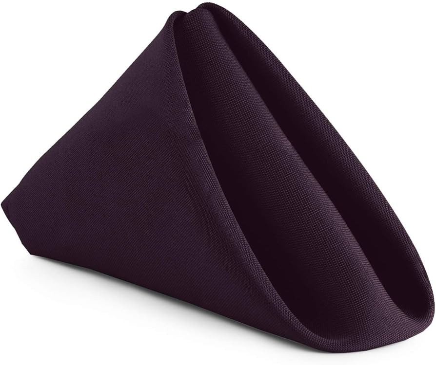 Gee Di Moda Cloth Napkins - 17 x 17 Inch Eggplant Solid Washable Polyester Dinner Napkins - Set o... | Amazon (US)