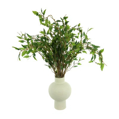 Maitland Organic Modern Smilax Arrangement | Wayfair North America