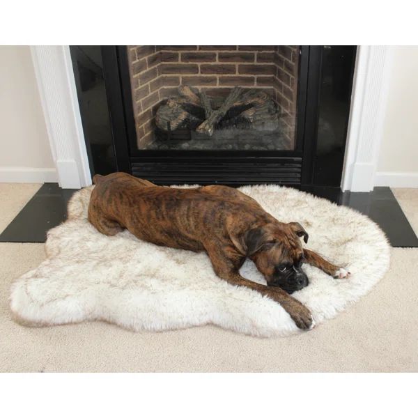 Potrero Puprug Faux Fur Orthopedic Dog Mat | Wayfair North America