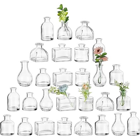 Arme 20 Pcs Bud Vase Set, Mini Vases for Flowers, Small Vintage Glass Vase for Centerpieces, Cute... | Amazon (US)
