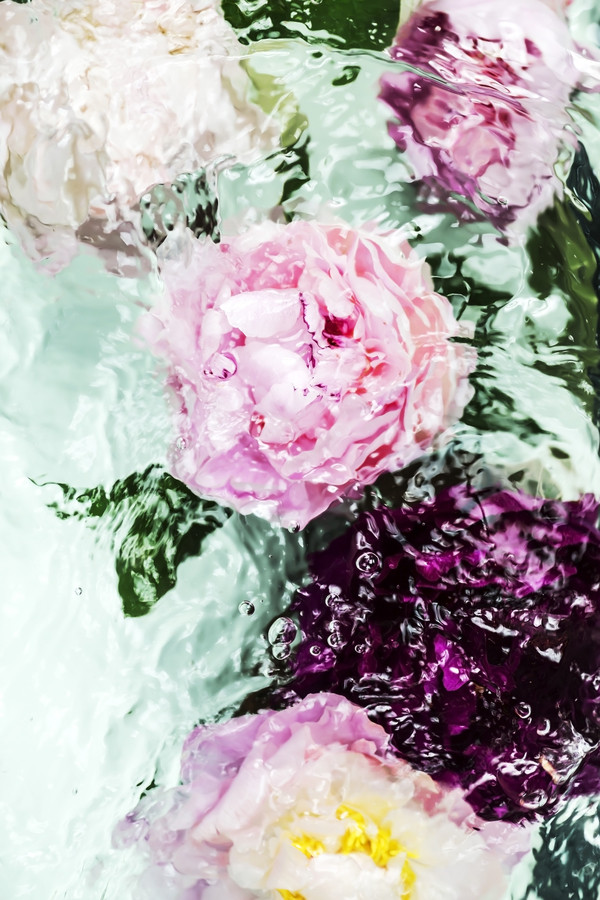 Abstract Floral No. 4 | Artfully Walls