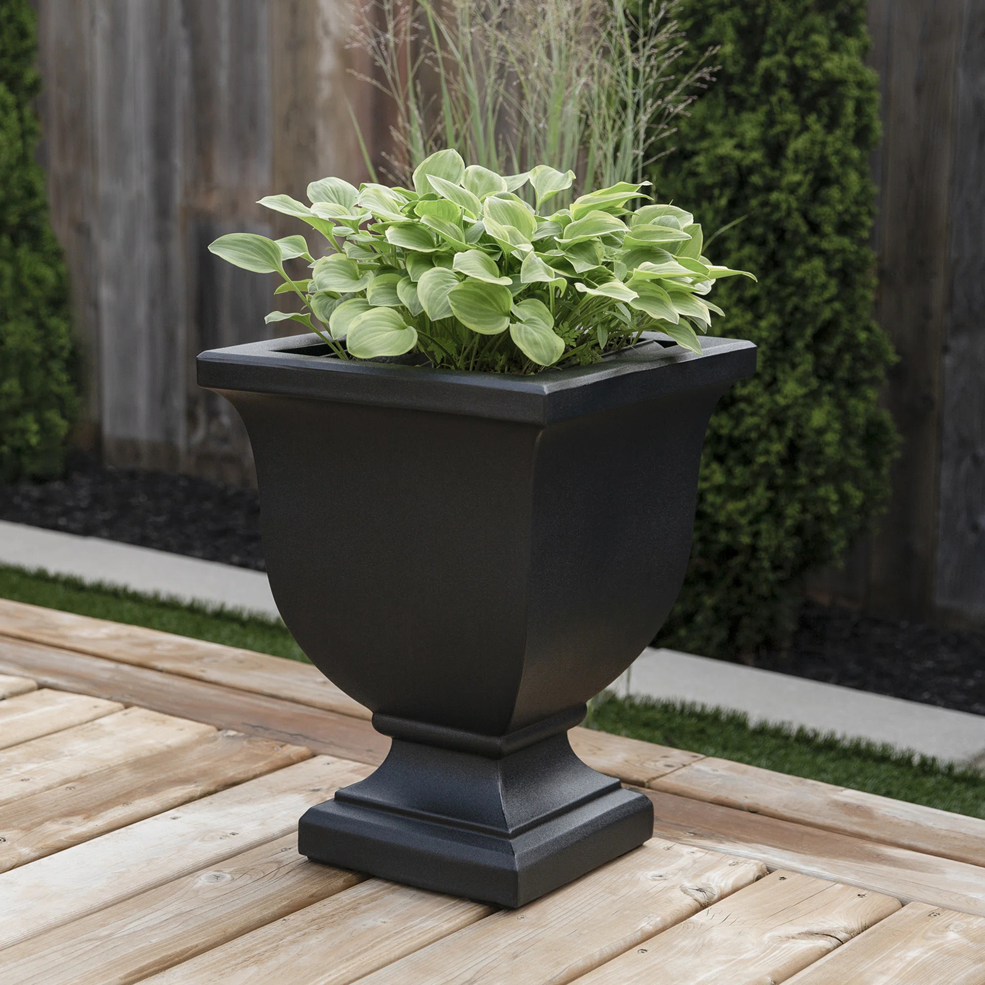 Danetra Pot Planter | Wayfair North America