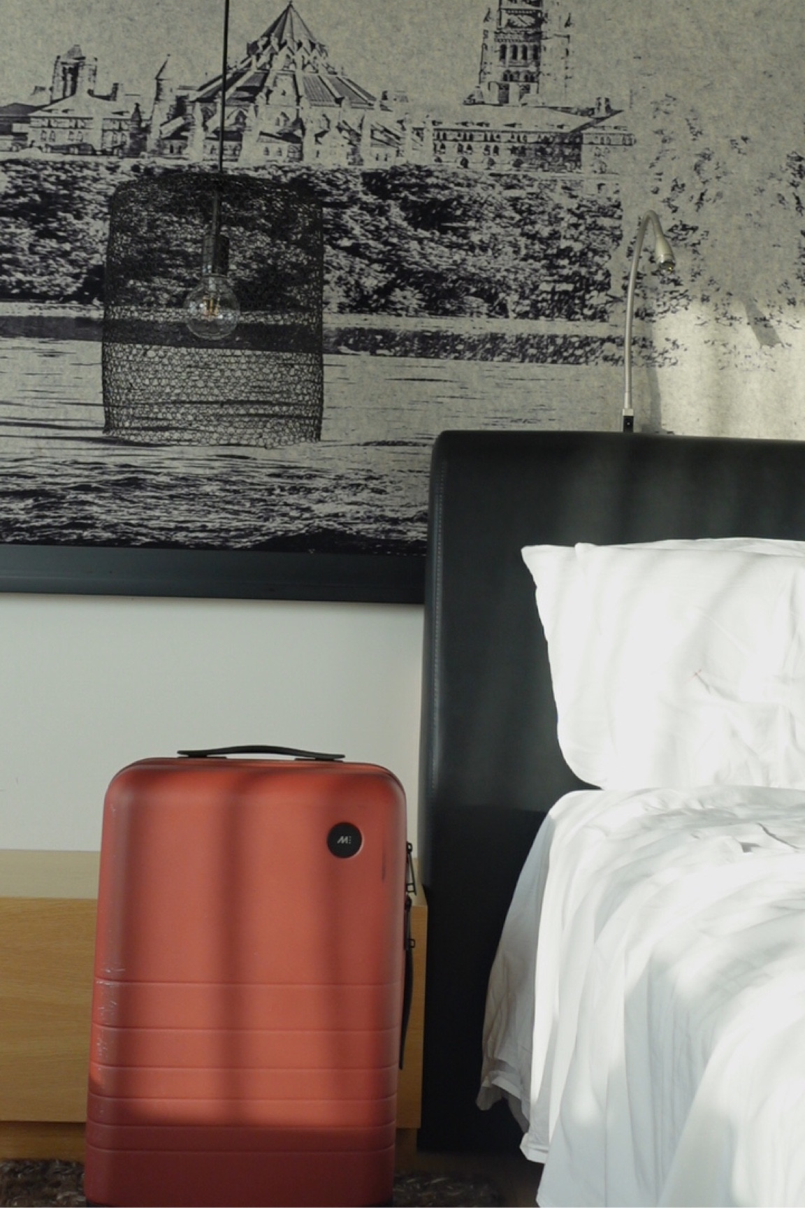 Monos luggage - available in other colours 
This is my favourite carry-on bag and I love the color, it’s this nice flat brownie red that stands out but it’s so beautiful in the airport. I love the packing straps inside and the wheels are super smooth rolling 


#LTKbag #LTKtravel