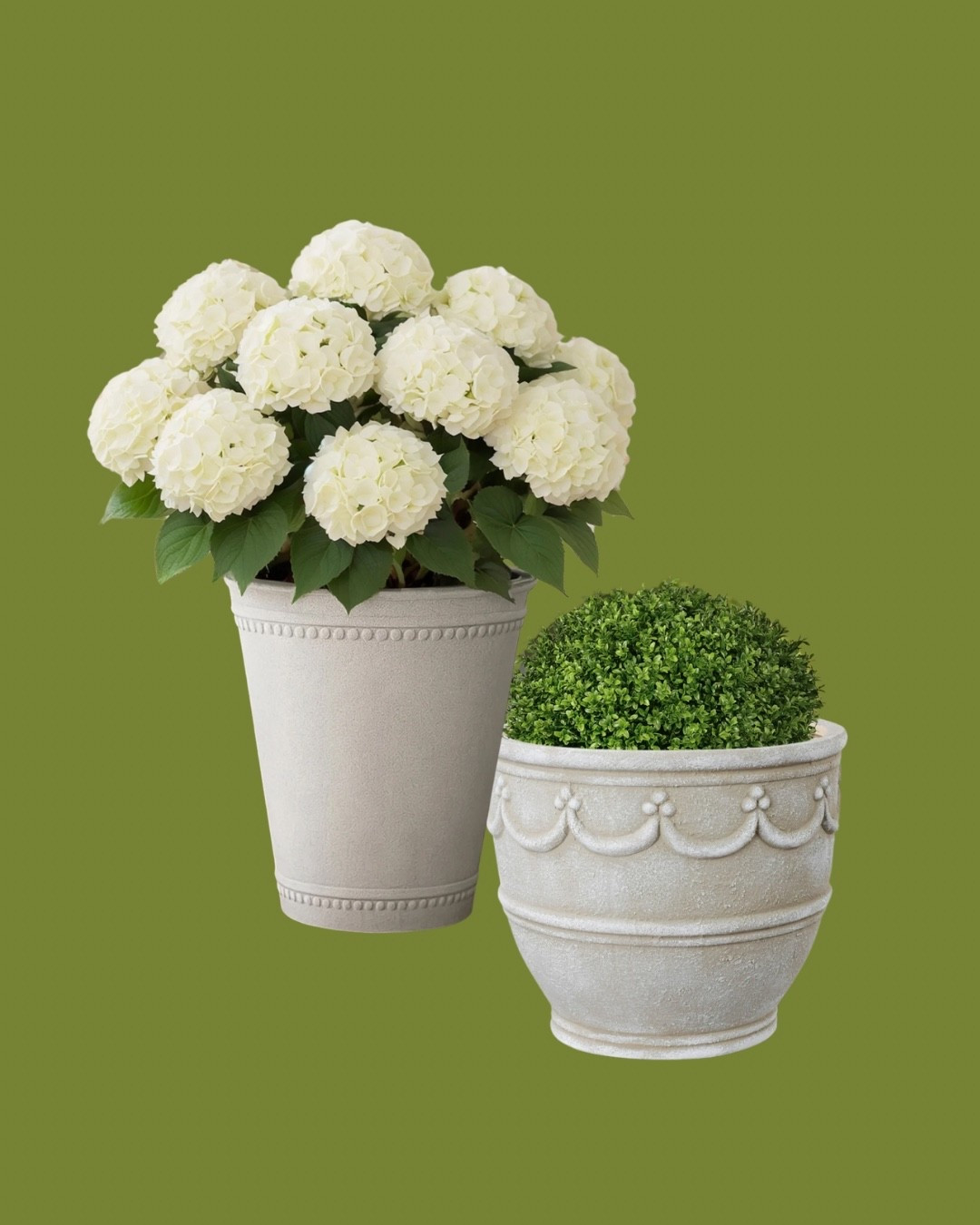 Omg these planters are from Walmart. My Texas House

#LTKHome #LTKSaleAlert #LTKU