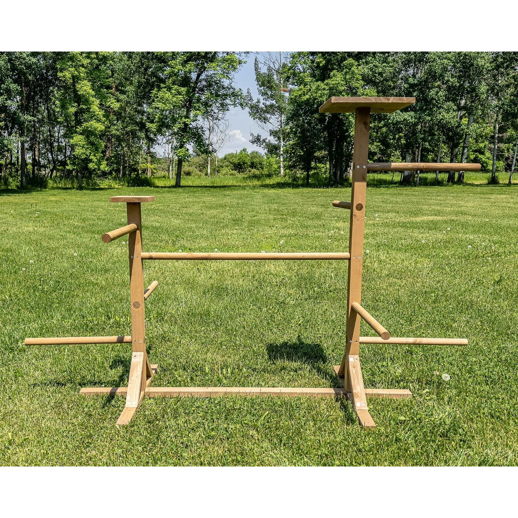 Zylina Play-N-Roost Double Roosting Perch | Chewy