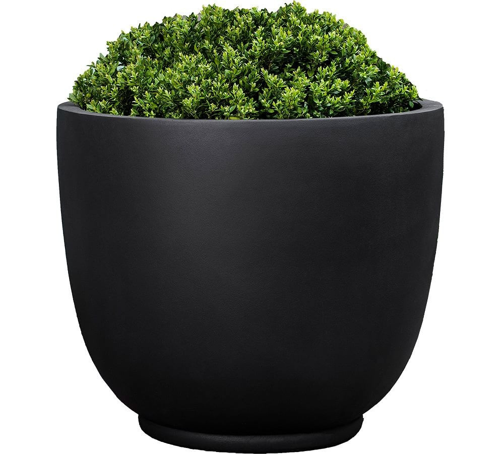 Linde Planter Collection | Pottery Barn (US)