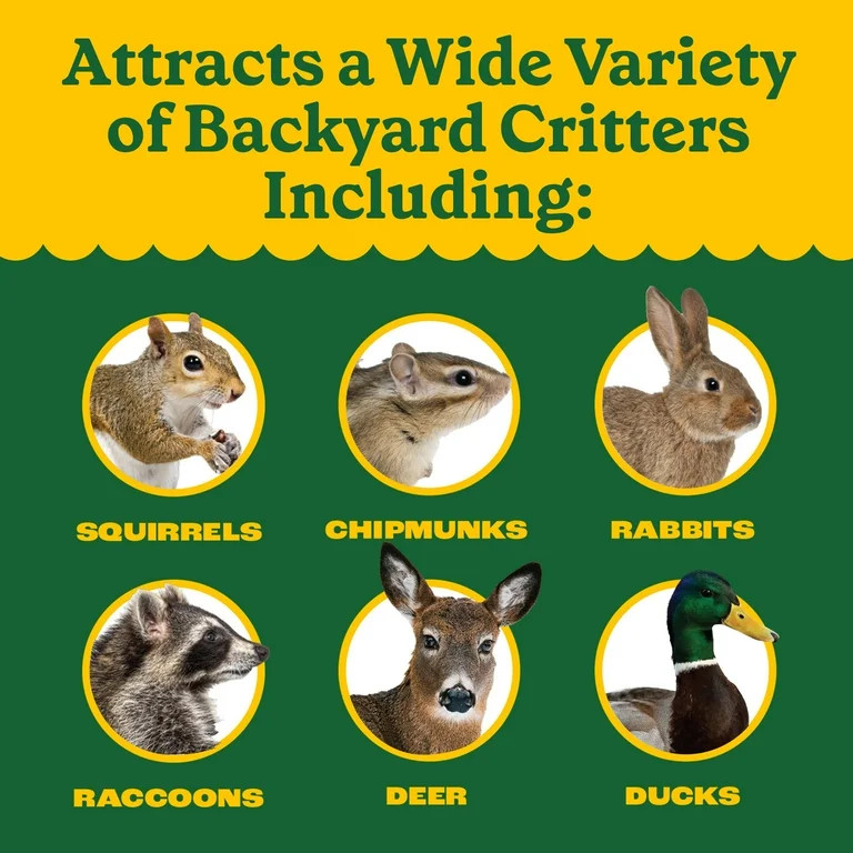 Pennington Classic Whole Ear Corn, Squirrel and Critter Feed, 6.5 lb. Bag, Dry, 1 Pack | Walmart (US)