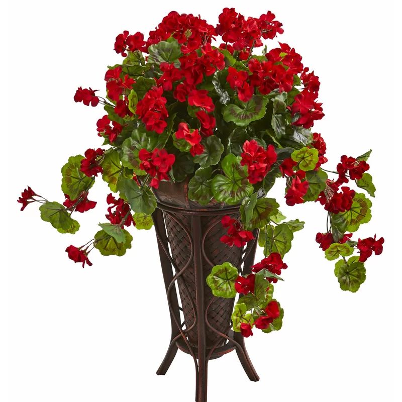 Geranium Arrangement in Planter | Wayfair North America