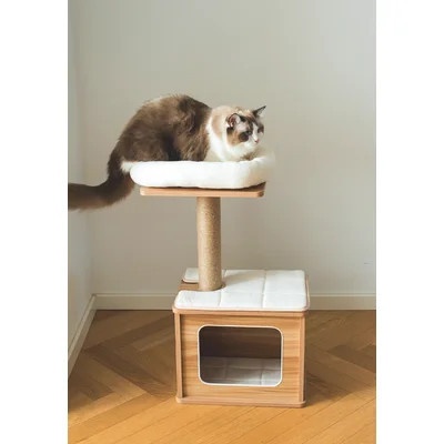 Catry 30" Cat Tree with House | Wayfair North America