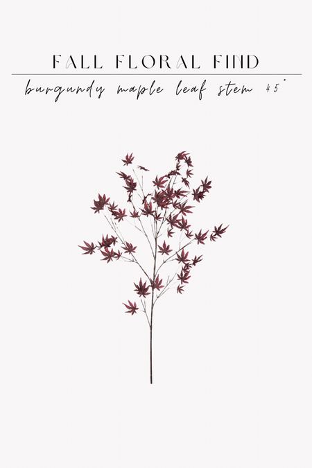 Best burgundy / plum fall faux floral stem, 45” tall & only $9.99!!

#LTKFind #LTKhome #LTKunder50