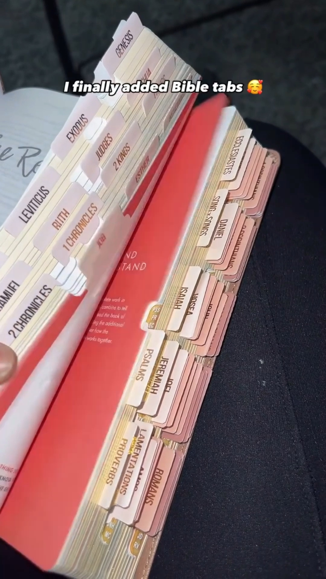 I finally added tabs to my @shereadstruth Bible & they’re so pretty!

#shereadstruth #shereadstruthbible #bible #biblestudy #amazonfinds