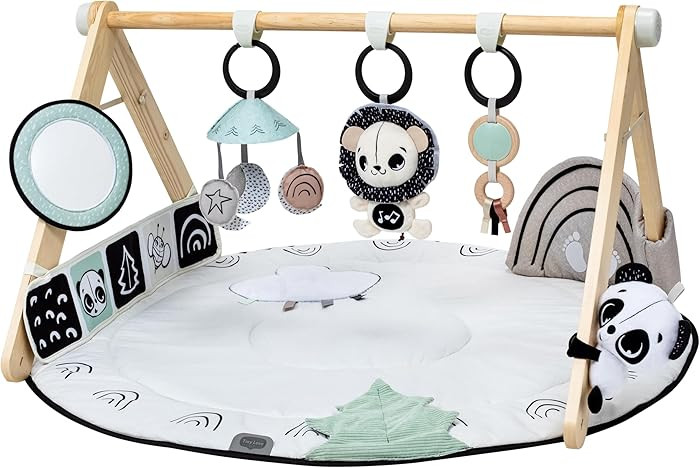 Tiny Love Luxe Developmental Gymini – Black & White Décor Collection, Black | Amazon (US)