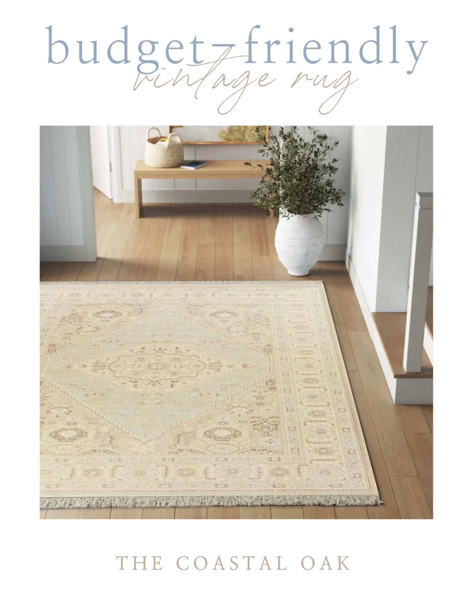 This just arrived and it’s so beautiful! Soft with hand knotted look, more bold in person and definitely blue not sage.



#LTKhome #LTKstyletip #LTKsalealert