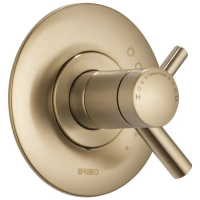 Odin® TempAssure® Thermostatic Valve Trim | Wayfair North America