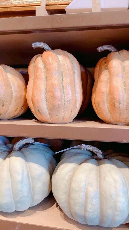 Kirklands has the best best realistic faux pumpkins! Fall decor, white pumpkins, cinderella pumpkins, pumpkin decor 

#LTKhome
