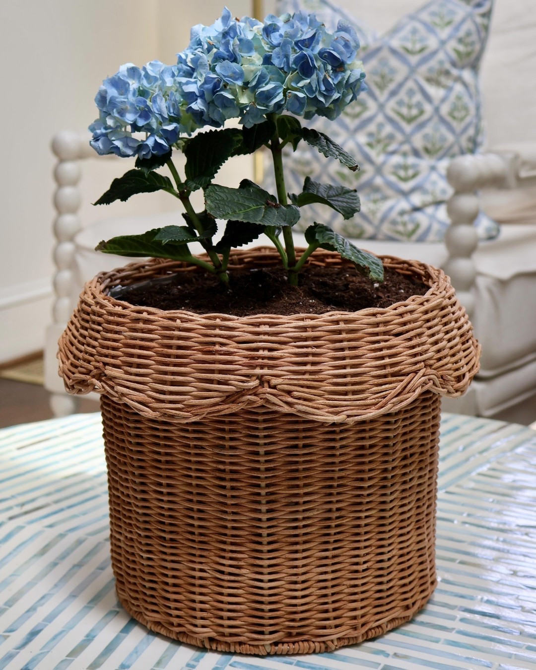 How adorable is this scalloped planter from Target? Perfect for grandmillennial lovers!!

#LTKHome #LTKFindsUnder50