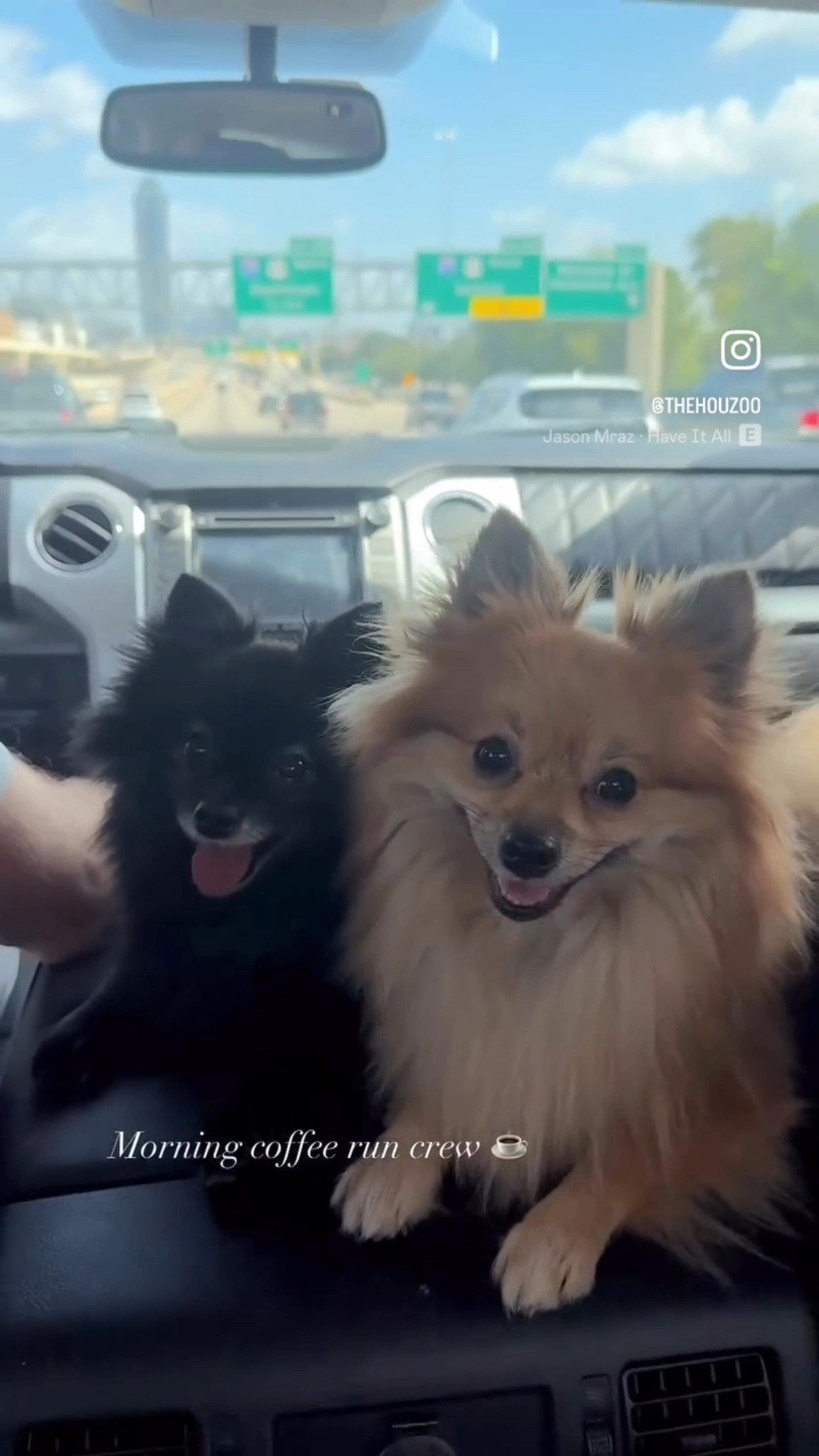 This morning’s coffee run crew ☕️🐾 Soufflé + Mistletoe 🤍

A quick La La Land stop with my two little copilots.

@lalalandkindcafe @LTK @liketoknow.it

#LTK #LTKPets #LaLaLandKindCafe #CoffeeRun #Pomeranian #Pomeranians #PomLife #DogMom #FluffyDogs #HoustonDogs #HoustonCoffee

Keywords: La La Land Kind Cafe, Houston coffee, coffee run, Pomeranian, dog mom, pet favorites, fluffy dogs, small dogs, Soufflé, Mistletoe

#LTKdayinmylife #LTKmorningroutine #LTKmomlife