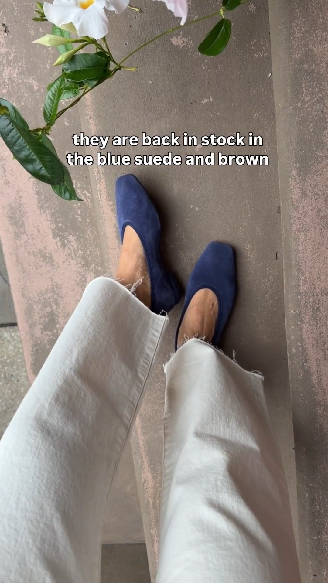 Major sale on these! I have only tried the suede version fyi not the leather 

• TTS I took size 5.5 in these flats. So comfy with no breaking in needed due to the padded insoles and low heel. Well made, good quality suede flats with elongated rounded square toe.

• Madewell ecru jeans 24 Short, jcrew navy tee xxs 

Jcrew shoes , suede ballet flats

#LTKPetite #LTKWorkwear #LTKootd
