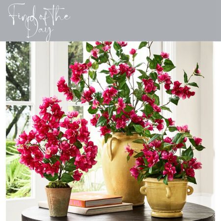 Use some bunches of faux bougainvillea to add a bright pop of color into your home! Perfect for using in the warmer months   

#LTKfamily #LTKSeasonal #LTKhome