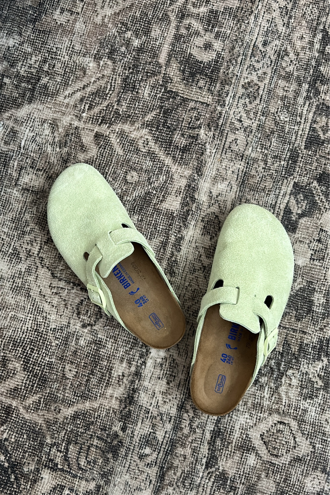 🍋‍🟩🍋‍🟩🍋‍🟩🍋‍🟩🍋‍🟩

#LTKSeasonal #LTKStyleTip #LTKShoeCrush