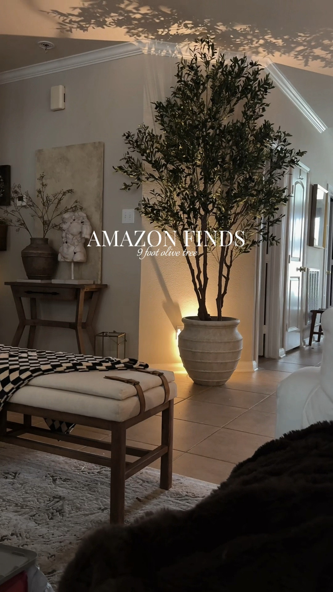 9 Foot Olive Tree from Amazon!  We sold it out! But it will be back soon but I added some that are similar so you don’t have to wait!  #amazon #amazonhome#LTKMostLoved

#LTKWatchNow #LTKHome
