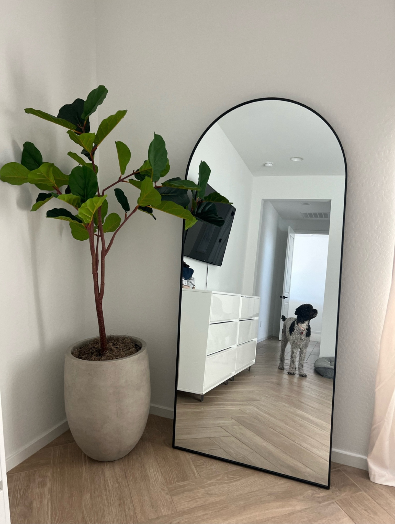 Found my mirror from our primary bedroom on major sale!!!! It’s an Amazon find and is super big and impressive. The pot and faux tree are also linked. Home decor Amazon finds 

#LTKHome #LTKFindsUnder100 #LTKSaleAlert