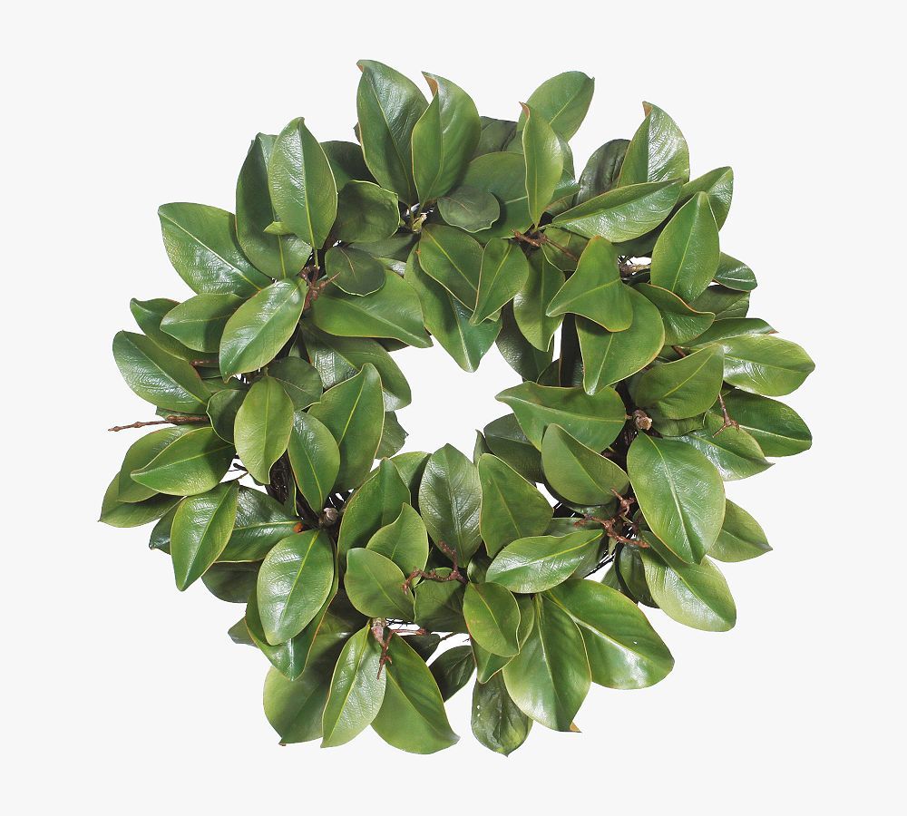 Faux Magnolia Leaf Wreath | Pottery Barn (US)