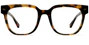 The Murphy - Tortoise | Pair Eyewear
