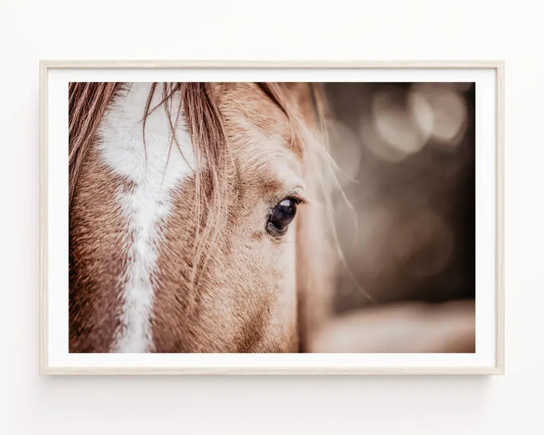 Horse Photography Print, Equestrian Wall Art, Modern Animal Art, Modern Farmhouse Wall Art, Rusti... | Etsy (US)