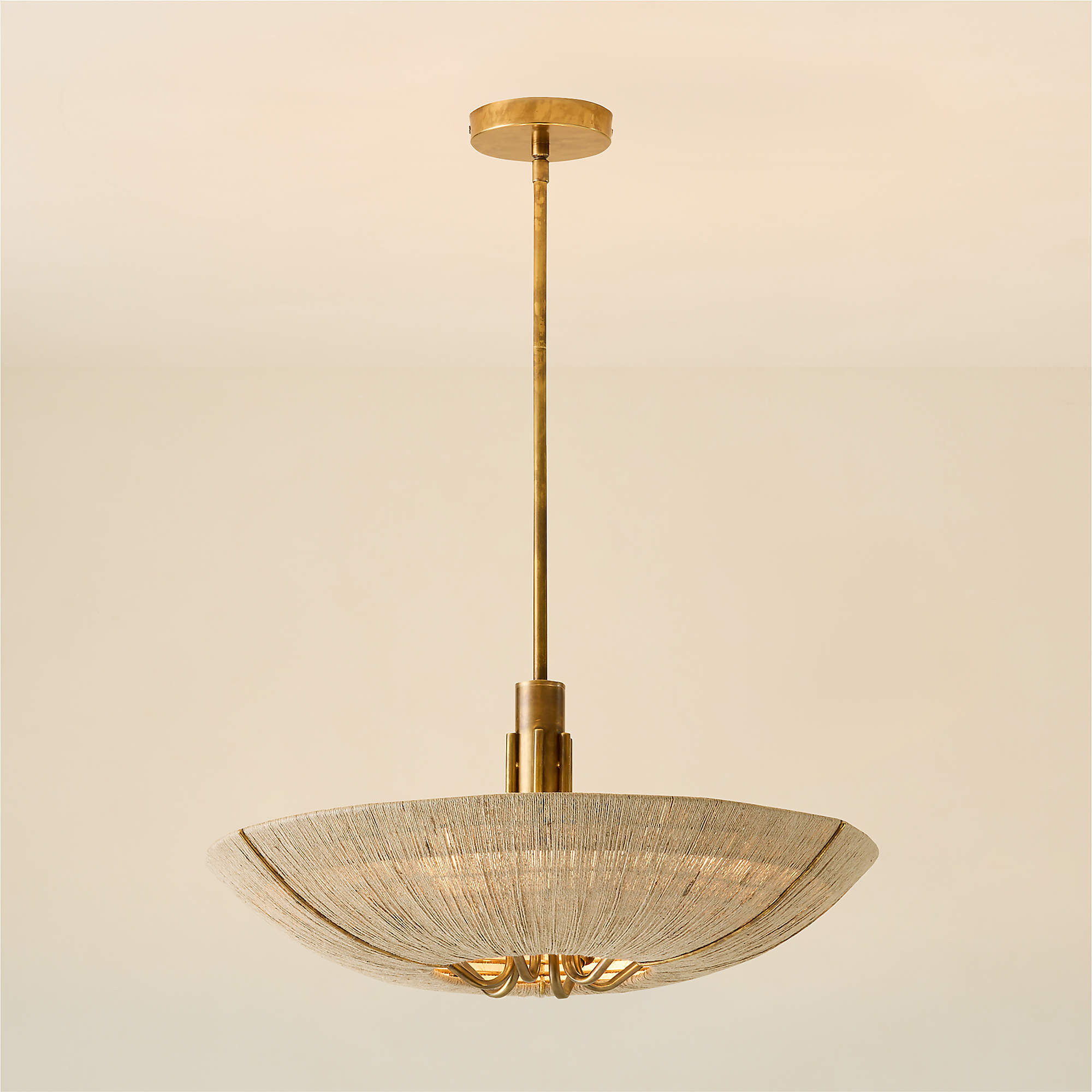Delphine Natural Jute Pendant Light + Reviews | CB2 | CB2