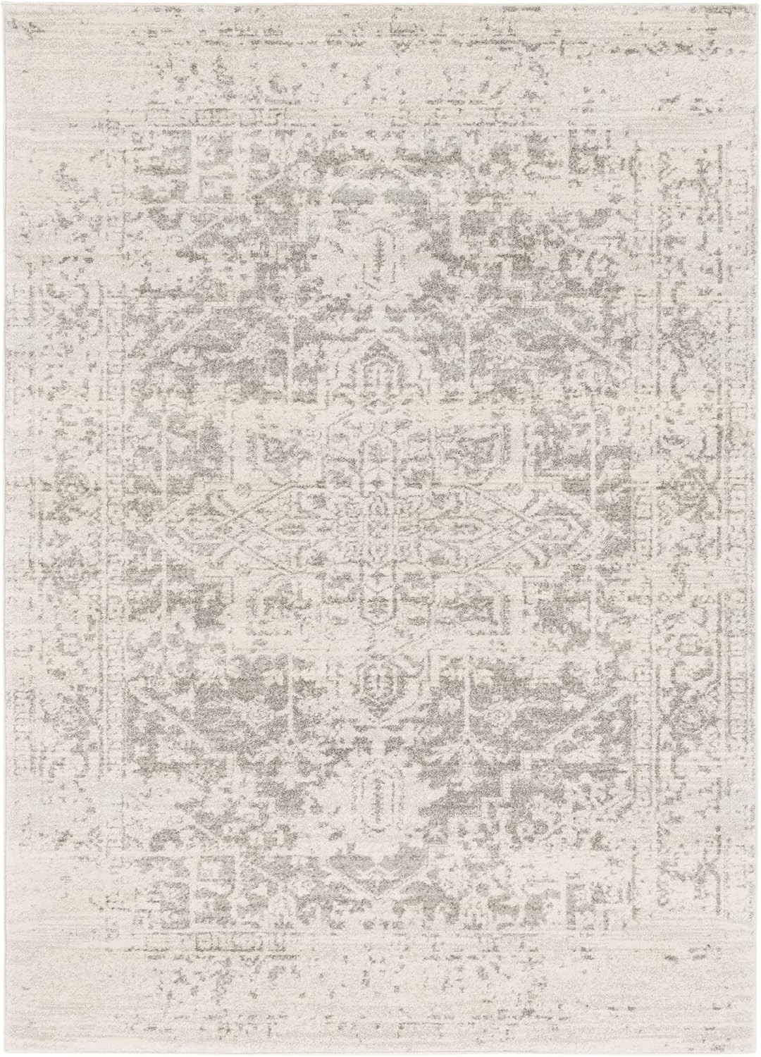 Janine Gray and Beige Updated Traditional Area Rug 5'3" x 7'3 | Amazon (US)