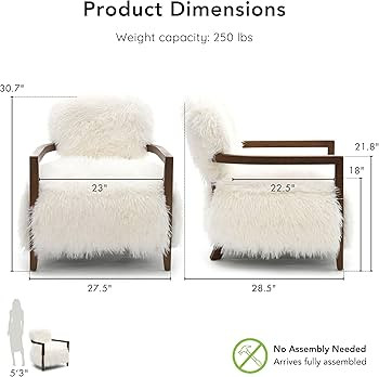 Furniture of America Ramos Modern Accent Chair with Ultra Soft Faux Fur, Long-Haired Accent Sofa,... | Amazon (US)