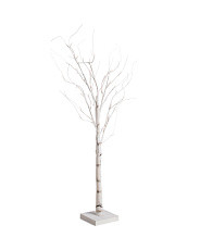 4ft Led Birch Tree On Wooden Base | TJ Maxx