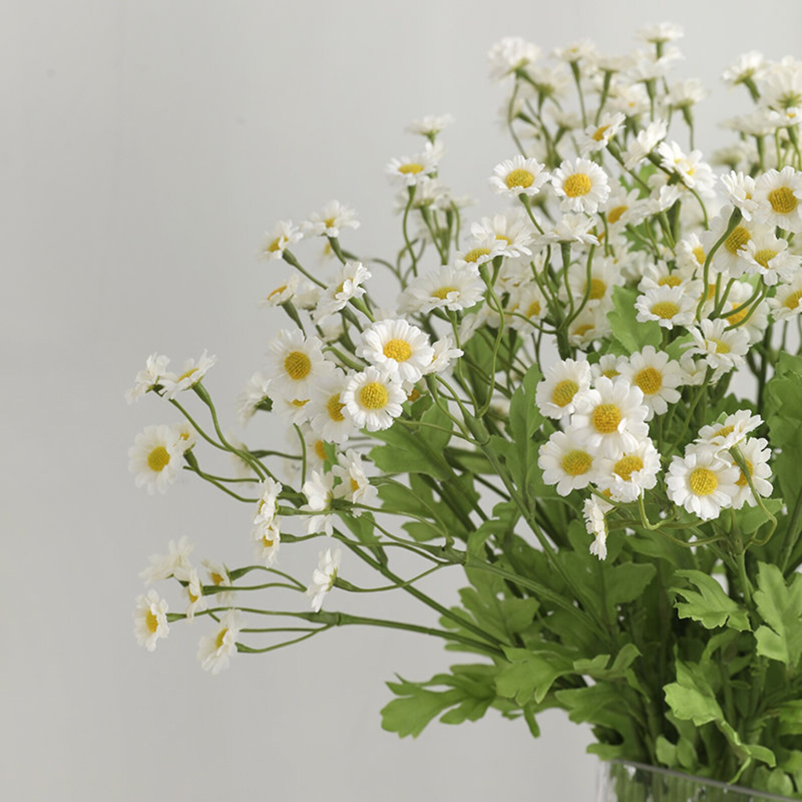 21 Chamomile Branch Stem  30 Flower Heads  Artificial - Etsy | Etsy (US)