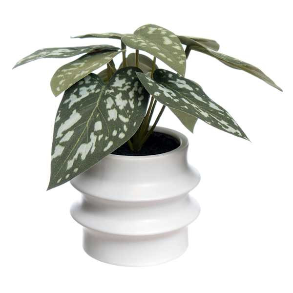 Begonia Leaf in Ceramic Pot, 7" | At Home