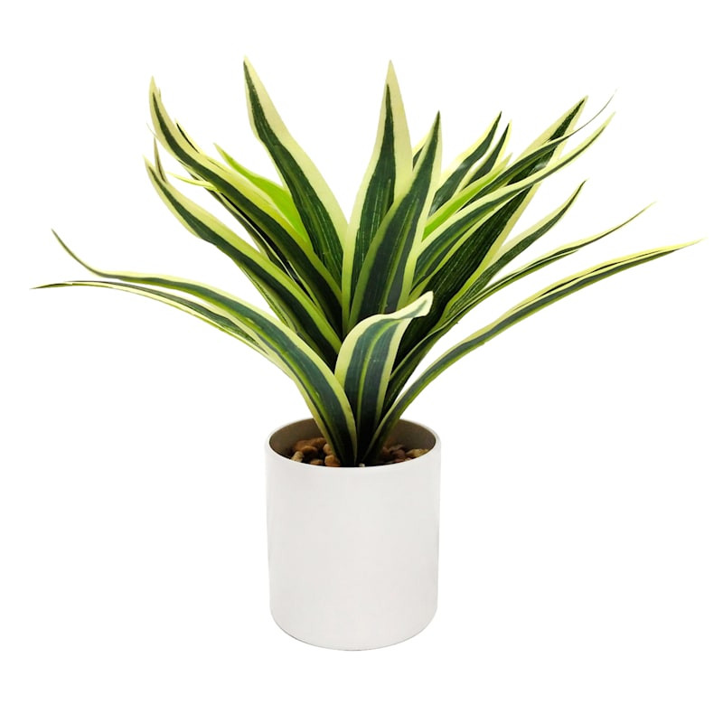 Grass Plant with White Planter, 9"








	
		
		
			
				4.9
			
			
				(
				20
				) | At Home