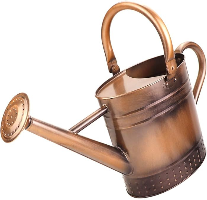 1 Gallon Metal Watering Can with Removable Spout, Nice Galvanized Steel Water Can with Embossed D... | Amazon (US)