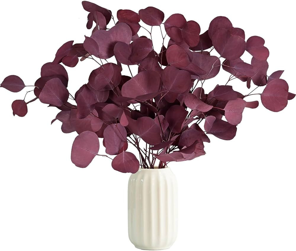 Oning 10 PCS Real Red Christmas Flowers Silver Dollar Eucalyptus Stem for Fall Decor, 15''-17'' F... | Amazon (US)