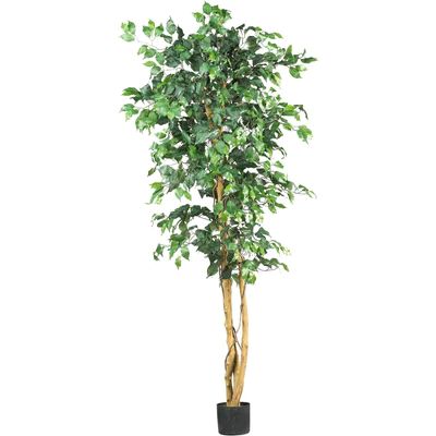6' Ficus Silk Tree | Nearly Natural