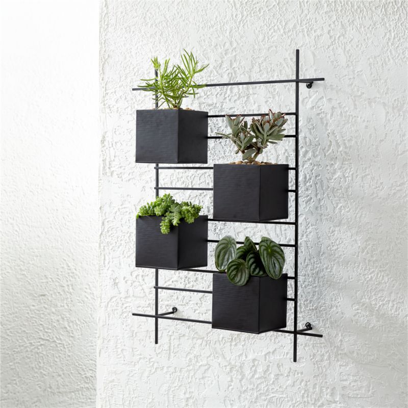 4 Box Wall Mounted Indoor/Outdoor Planter + Reviews | Crate and Barrel | Crate & Barrel