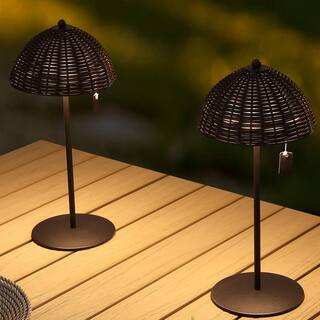 Tilly 12.75 in. Indoor/Outdoor Rechargeable/Cordless Dimmable Integrated LED Table Lamp, Dark Brown (Set of 2) | The Home Depot